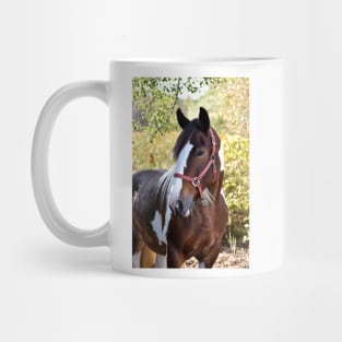 Drum horse Mug